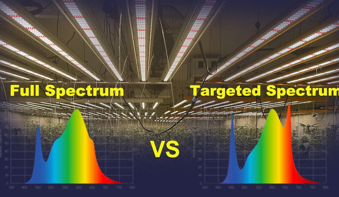 Full Spectrum vs Targeted Spectrum Grow Lights: Tailoring Light for Better Yields