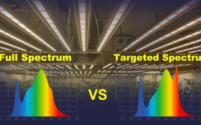 Full Spectrum vs Targeted Spectrum Grow Lights: Tailoring Light for Better Yields