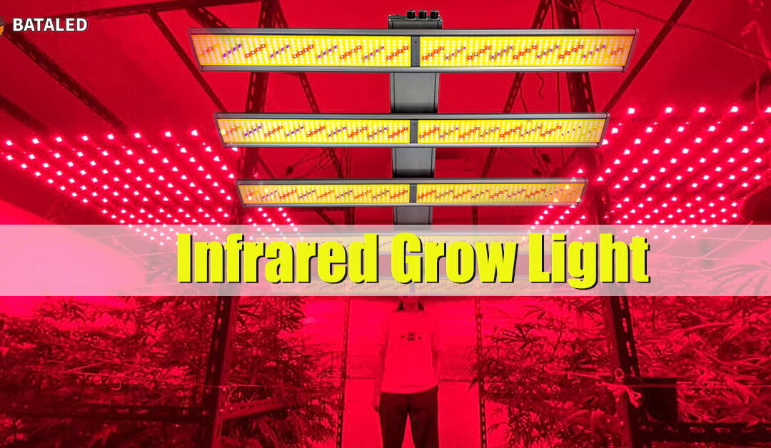 Boost Plant Growth and Photosynthesis with Infrared LED Grow Lights