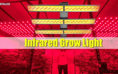 Boost Plant Growth and Photosynthesis with Infrared LED Grow Lights