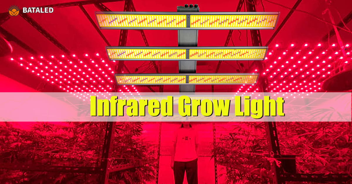 Boost Plant Growth and Photosynthesis with Infrared LED Grow Lights