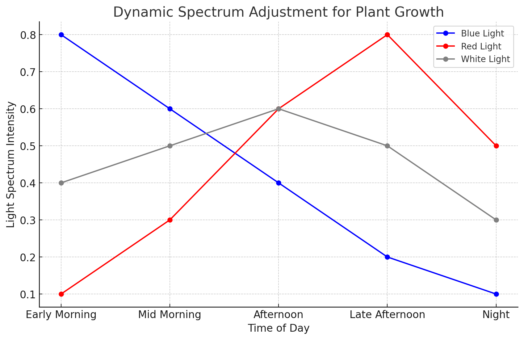 Dynamic Spectrum Adjustment for Plant Growth