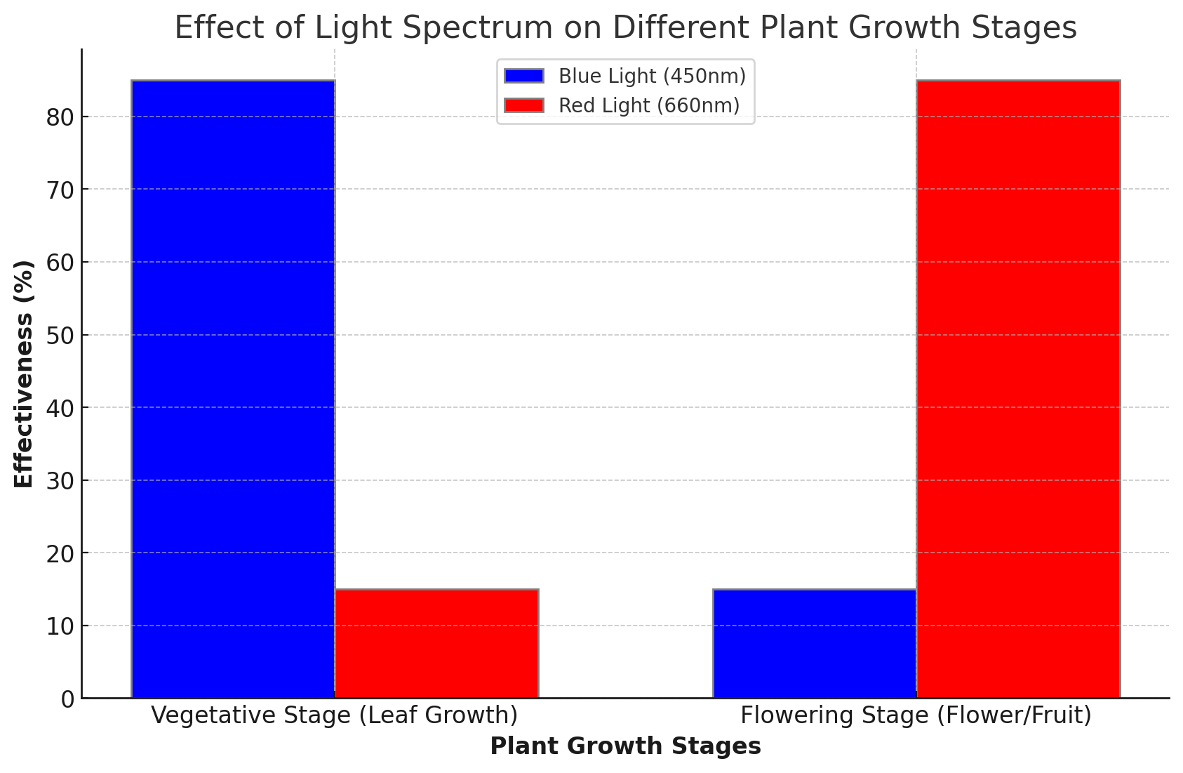 Effect Of Light Spectrum On Different Plant Growth Stages