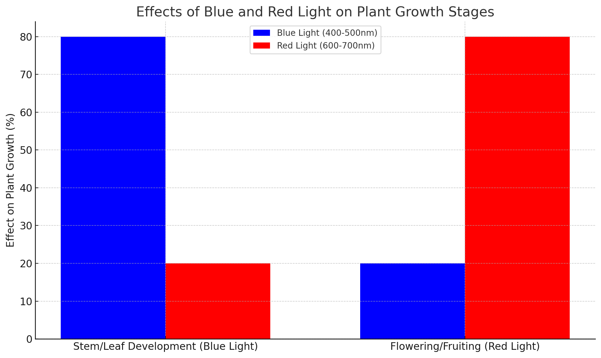 BATA LED GROW LIGHT-Effects Of Blue And Red Light On Plant Growth Stages