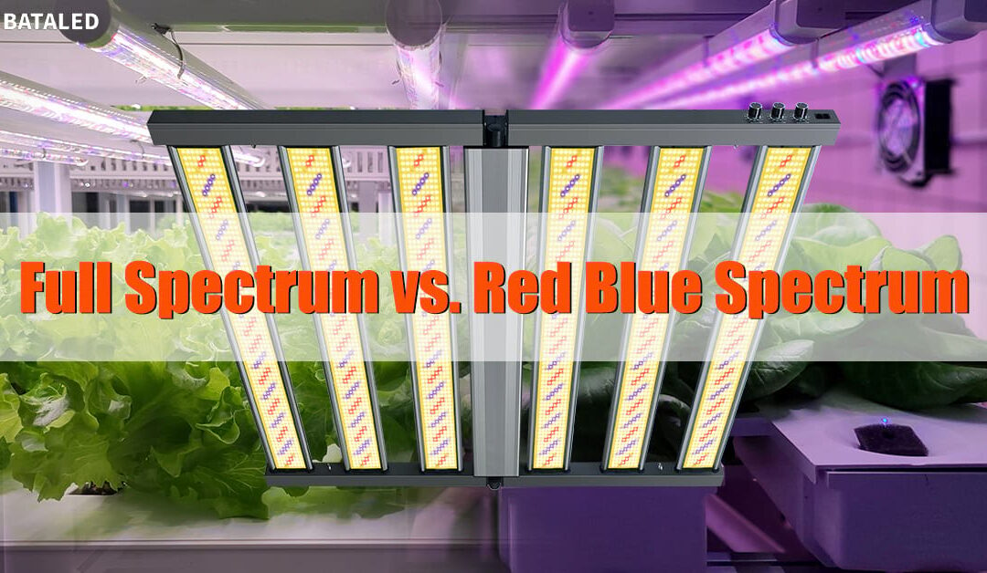 Full Spectrum vs. Red/Blue Grow Lights: The Ultimate Guide