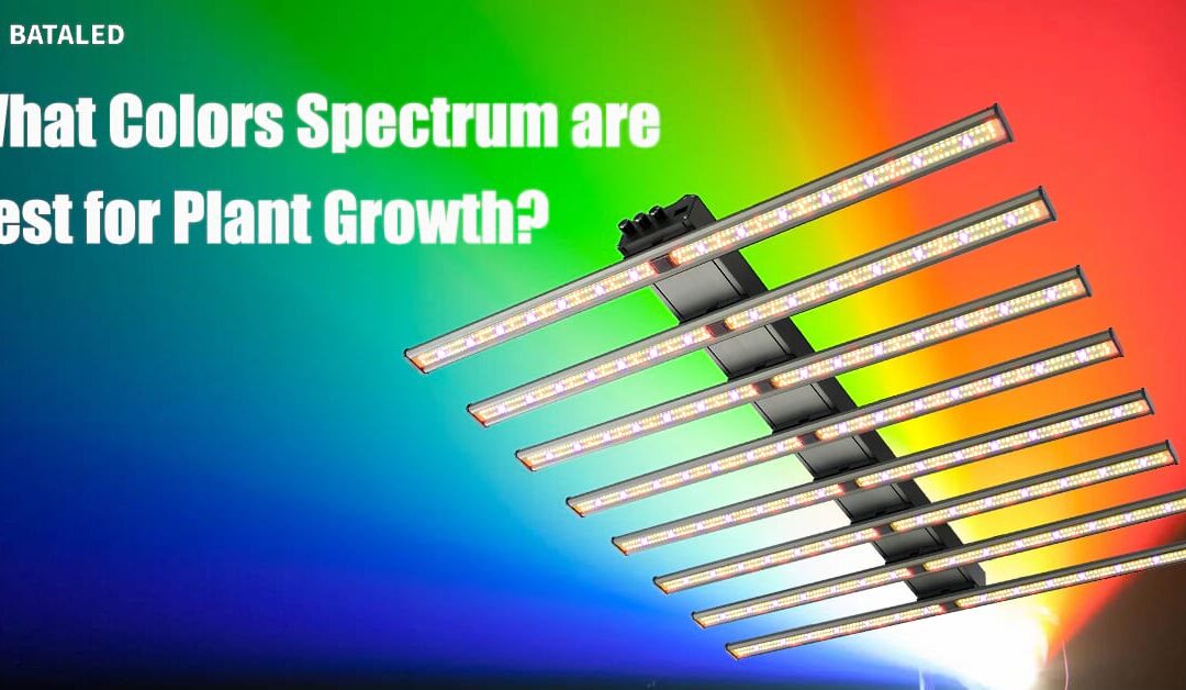 LED Grow Light Color Spectrum: What Colors are Best for Plant Growth?