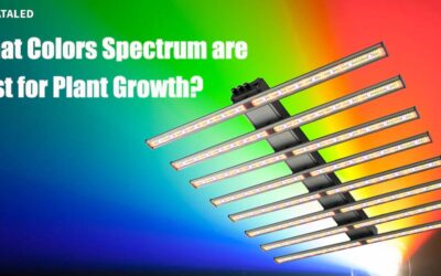 LED Grow Light Color Spectrum: What Colors are Best for Plant Growth?