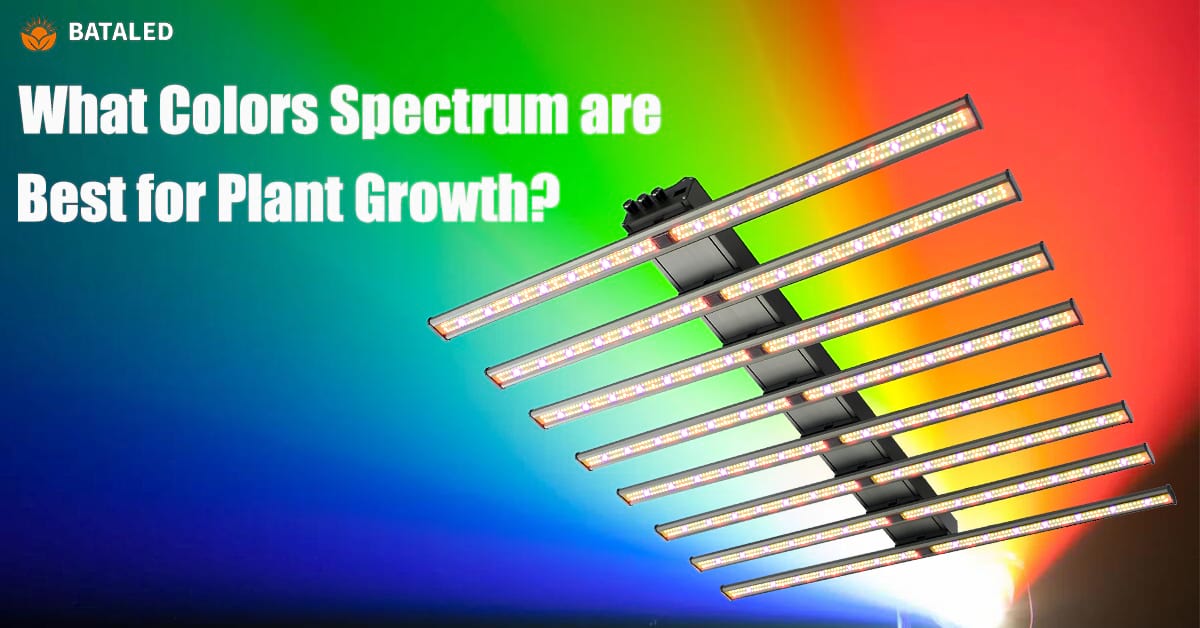 LED Grow Light Color Spectrum: What Colors are Best for Plant Growth?