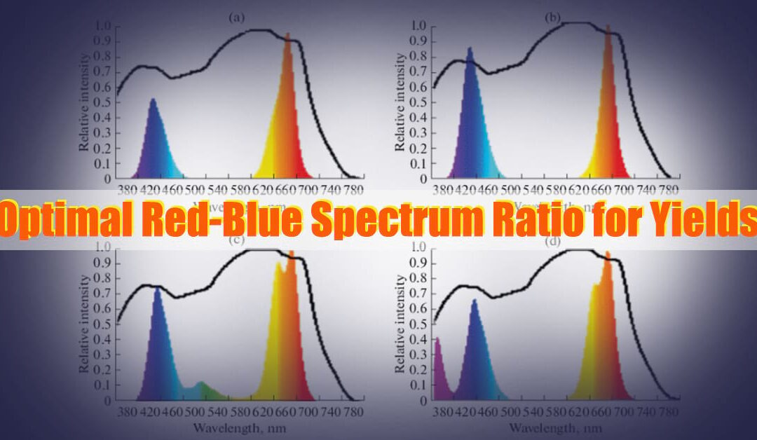 Optimizing LED Grow Lights: Finding the Best Red-Blue Spectrum Ratio for Maximum Yields