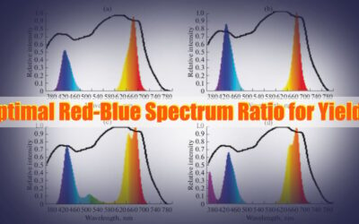 Optimizing LED Grow Lights: Finding the Best Red-Blue Spectrum Ratio for Maximum Yields