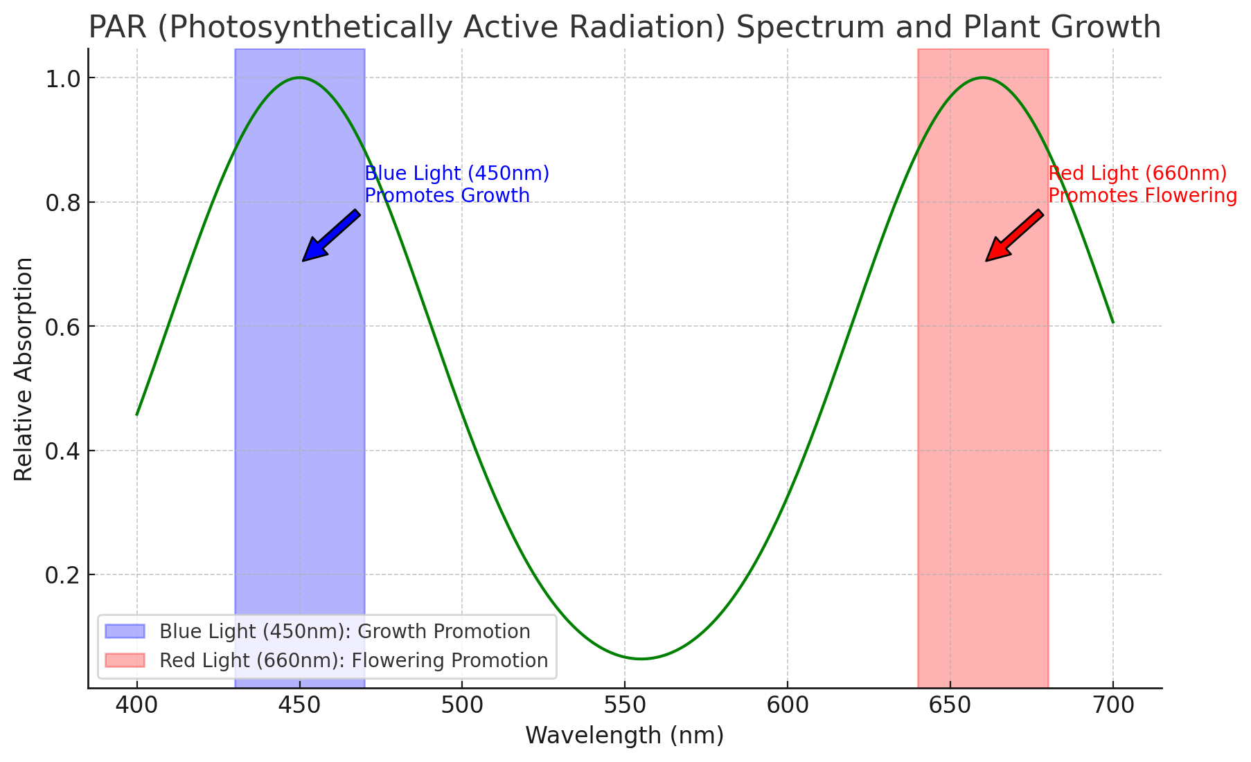 PAR (Photosynthetically Active Radiation) Spectrum And Plant Growth