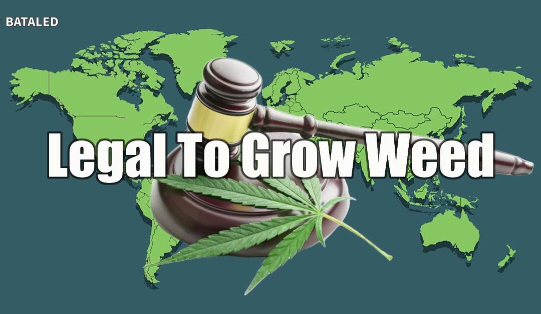 Where It’s Legal to Grow Cannabis: Ultimate Tips & Cultivation Laws