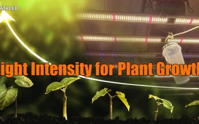 Mastering Grow Light Intensity for Optimal Plant Growth