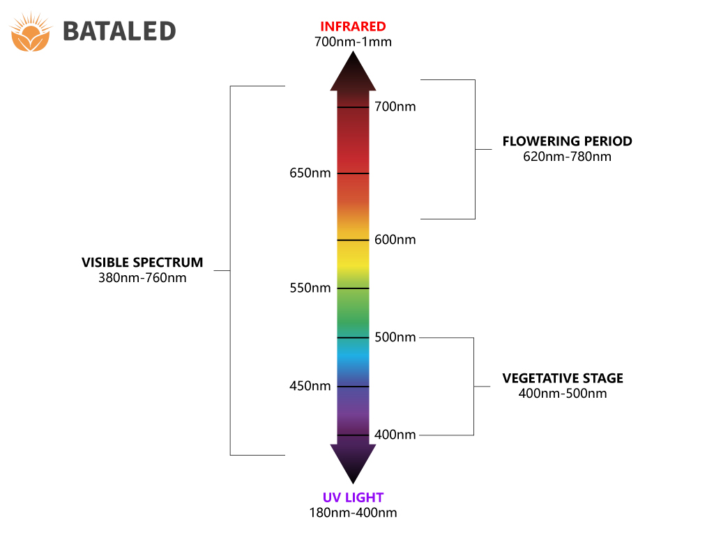 BATA-IP Rating Chart