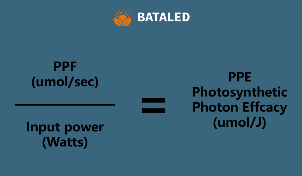 BATA-IP Rating Chart