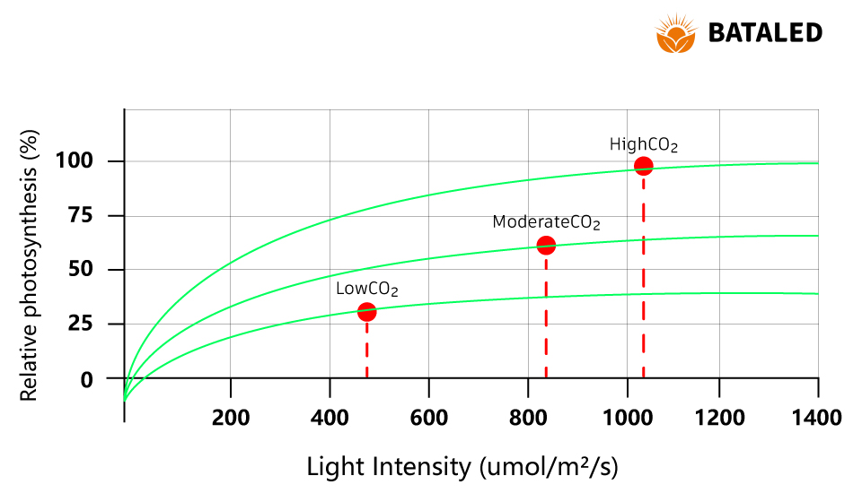 BATA-IP Rating Chart