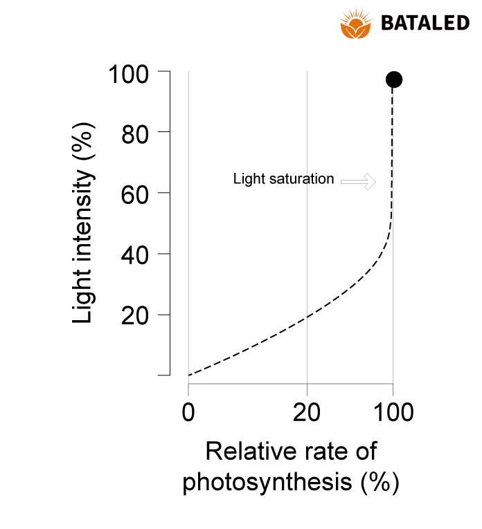 BATA-IP Rating Chart