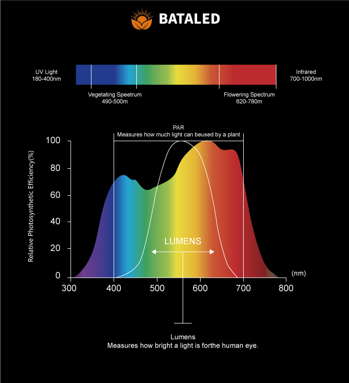 BATA-IP Rating Chart