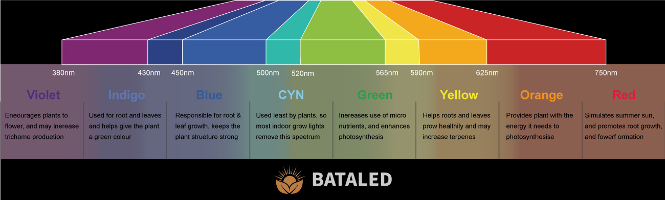 BATA-IP Rating Chart