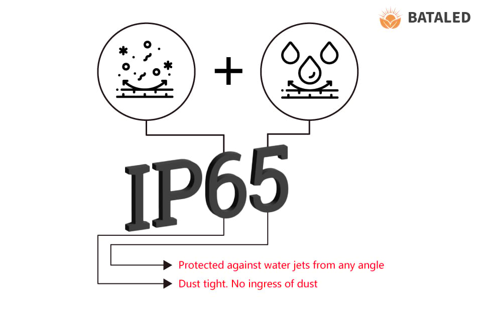 BATA-IP Rating Definition